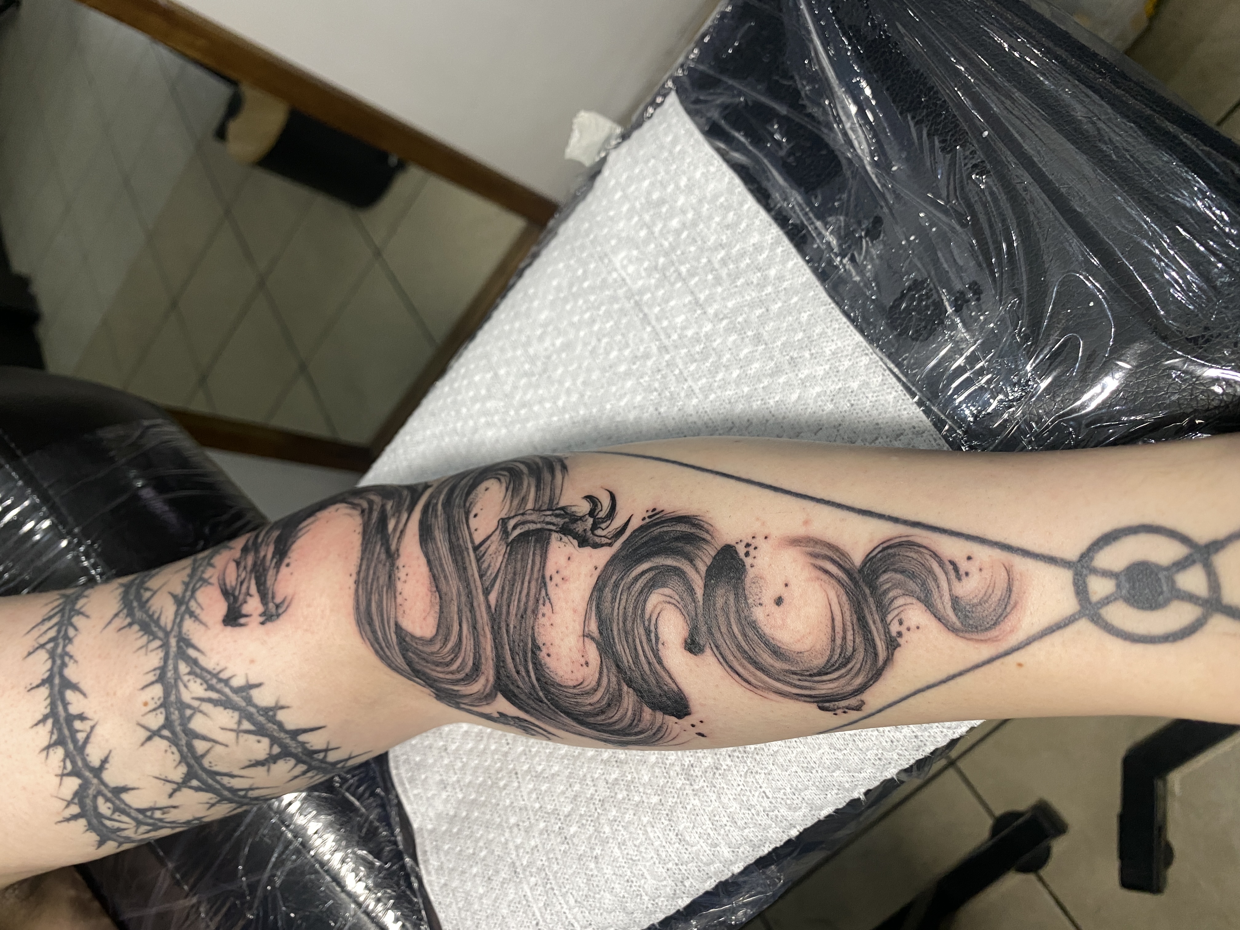 Dragón en pinceladas